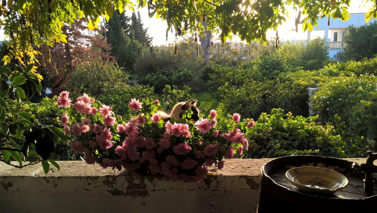 Villa Casale del Forno Andrano Esterno foto