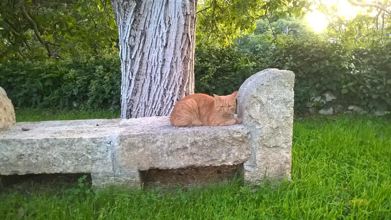 Villa Casale del Forno Andrano Esterno foto