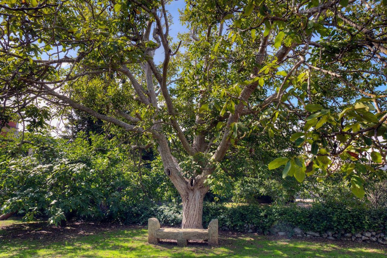 Villa Casale del Forno Andrano Esterno foto
